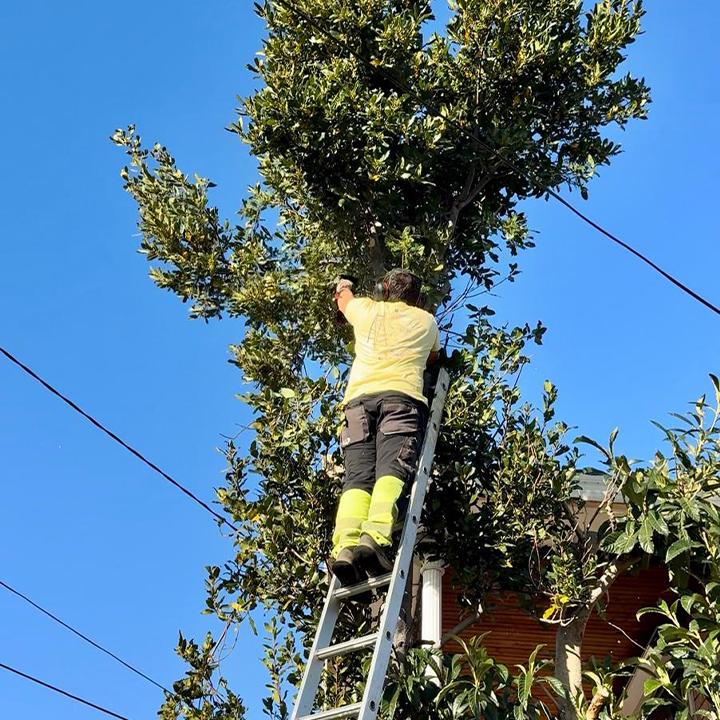 Images Homehapi Pty Ltd - Gardening & House Maintenance