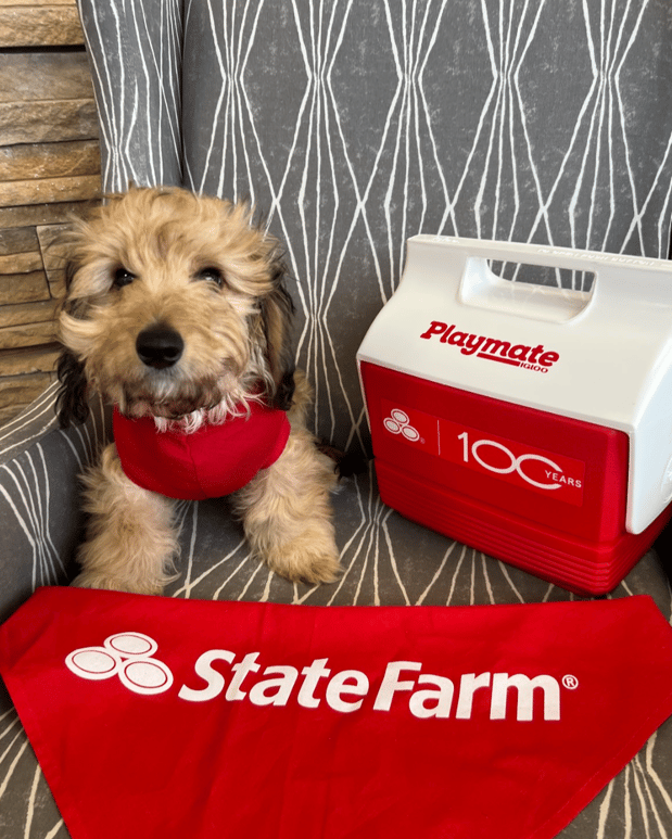 Images Anne Lintz - State Farm Insurance Agent