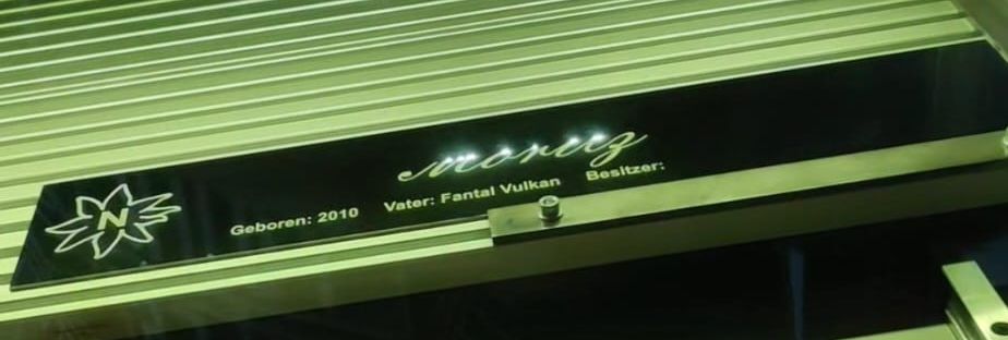 Westa-Schilder Stach, Haidsteiner Str. 39 A in Runding