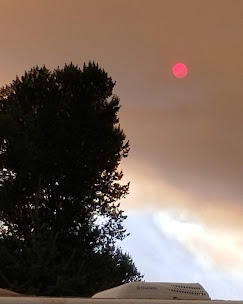 Mogote Meadow Cabins & RV Park Image