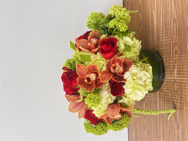 Images Jane's Roses & Flowers