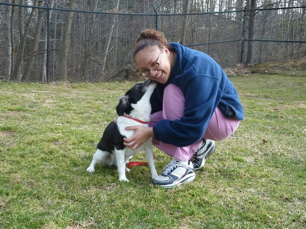 Images Crosspointe Animal Hospital