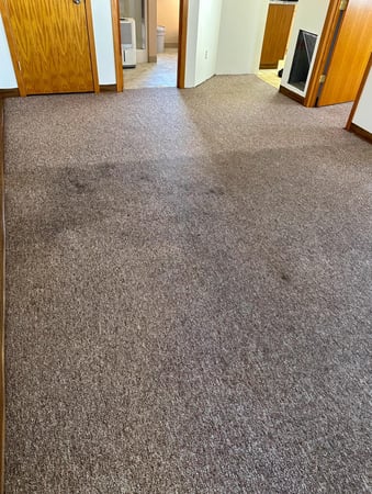 Images Apex Professional Cleaning Systems