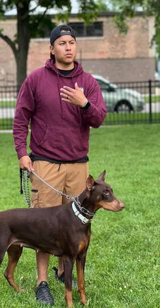 Images K9 Driven Chicago