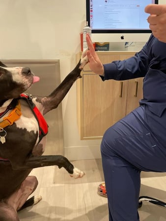 Images Petfolk Veterinary & Urgent Care - Ballantyne