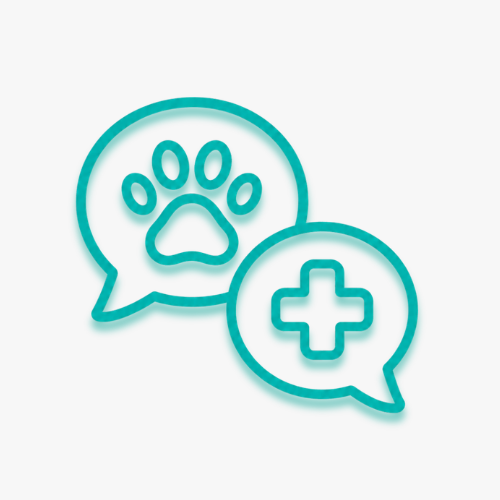 veterinarines_konsultacijos_white