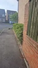 Images PG Garden Maintenance