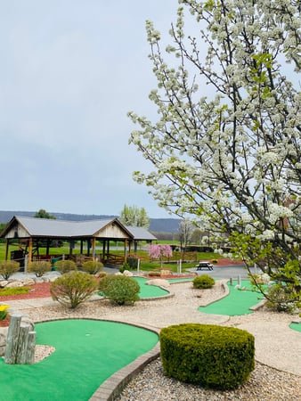 Images Bear Rock Junction