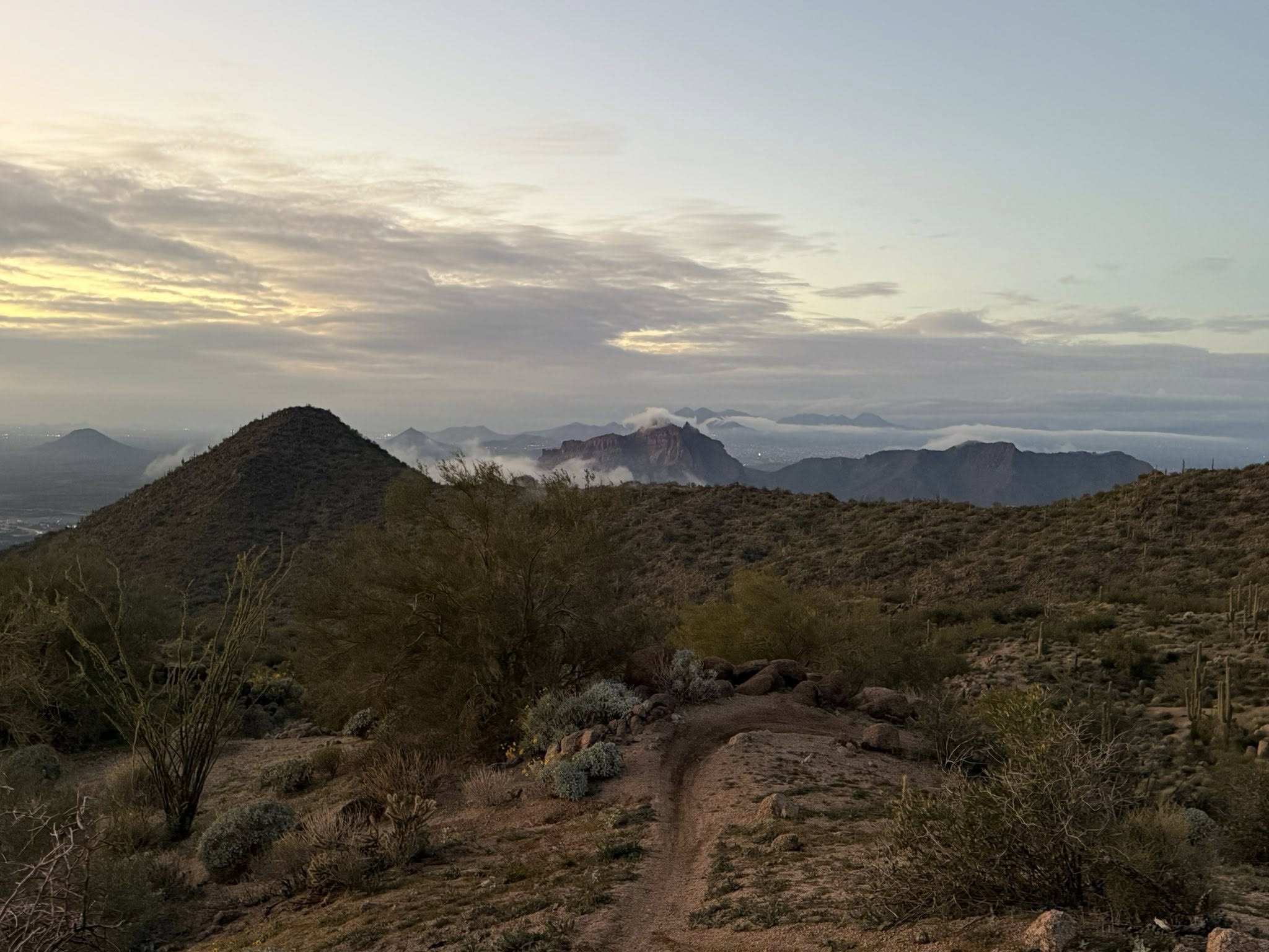 Pam Johnson - State Farm Insurance Agent Image