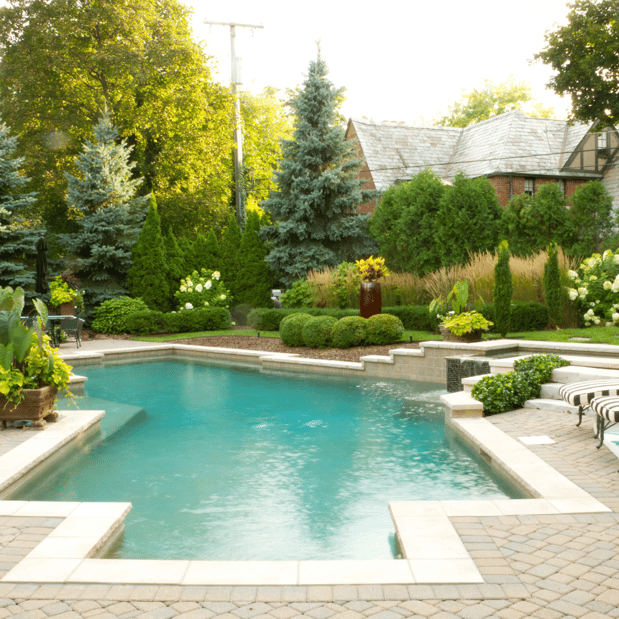 Images Lopez Tree Services and Landscaping