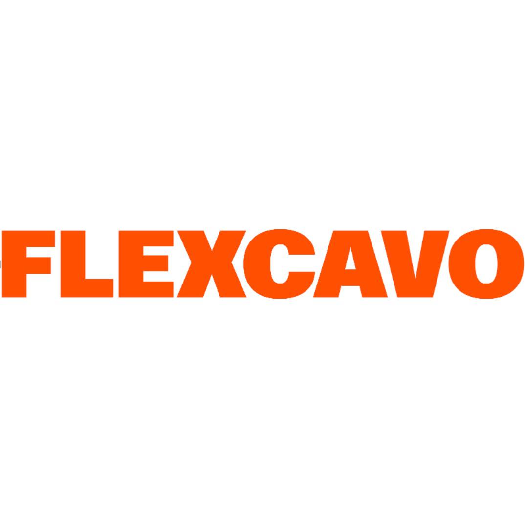 Logo Flexcavo GmbH