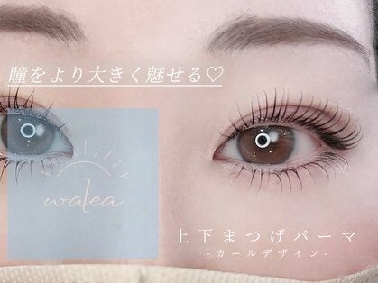Images Walea 大宮