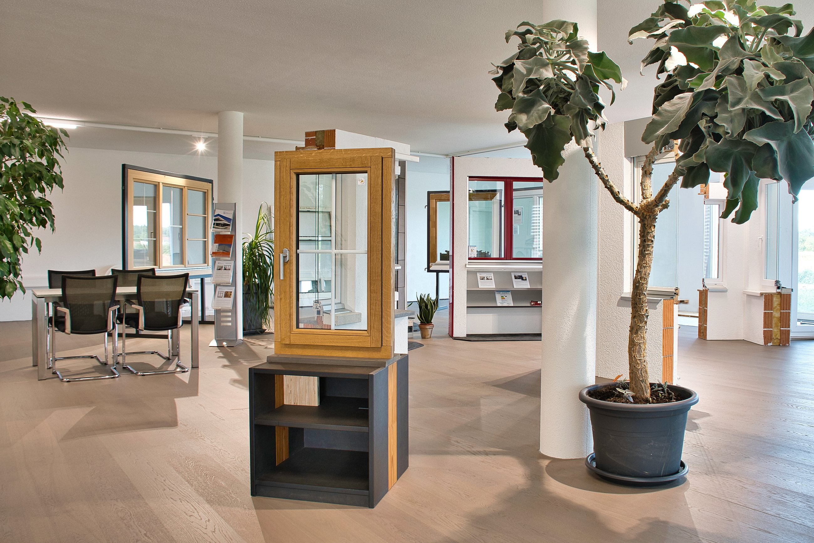 Alpsteg Fenster AG, Lenzhardweg 40 in Niederlenz