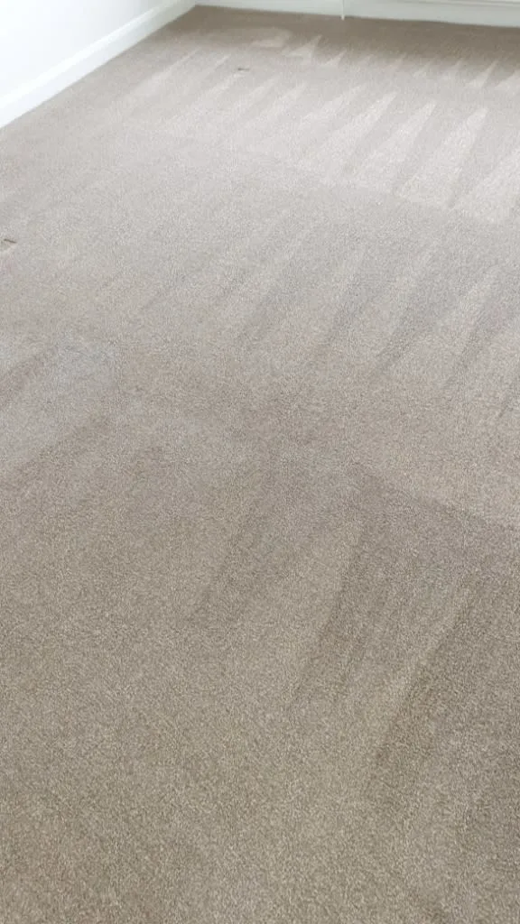 Images Titanium Cleaning