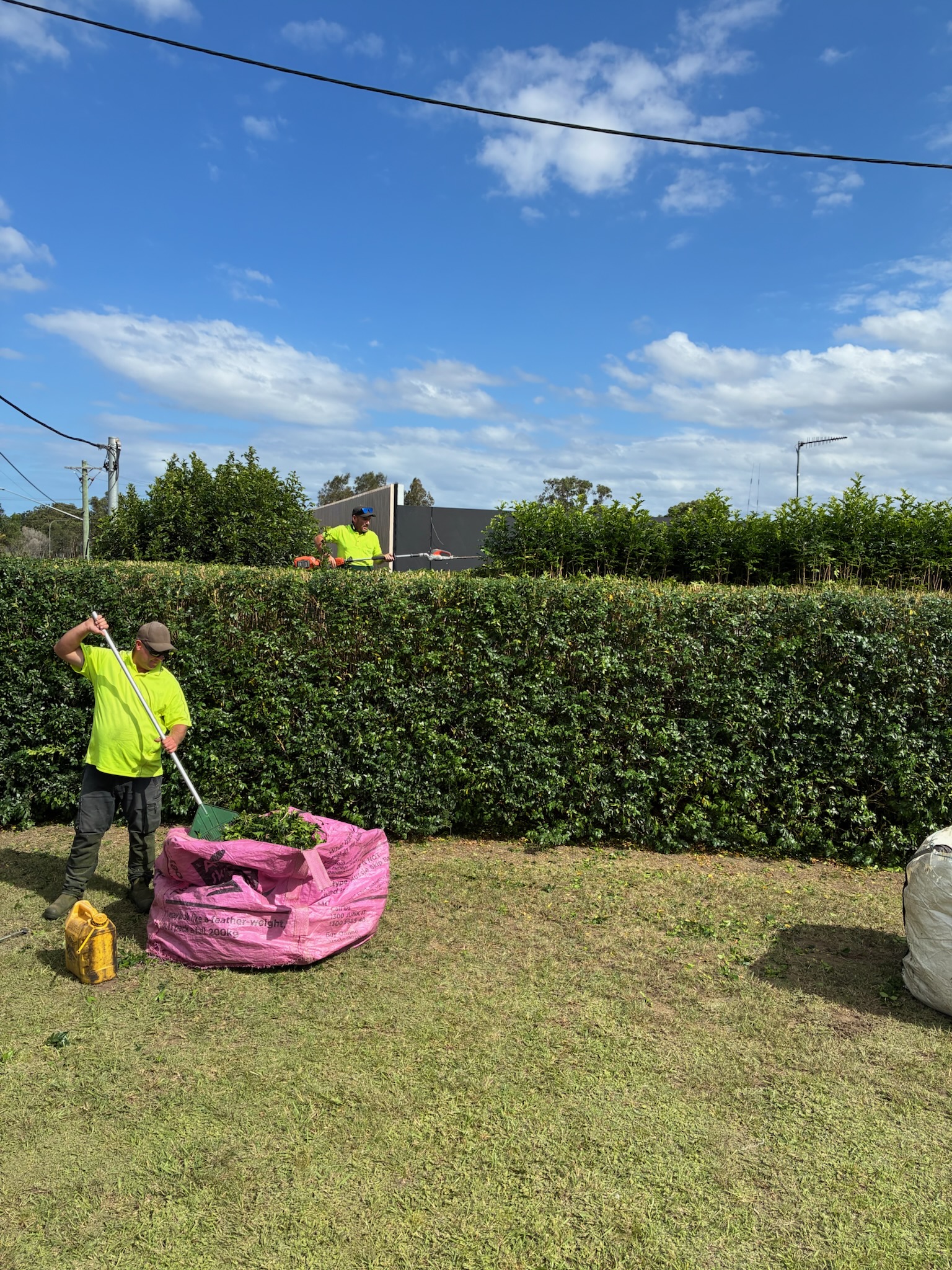 Images Oasis Lawns & Gardens