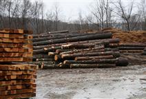 Images Champion Lumber Company