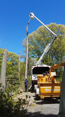 Images Rocky Point Landscaping & Tree Work LLC