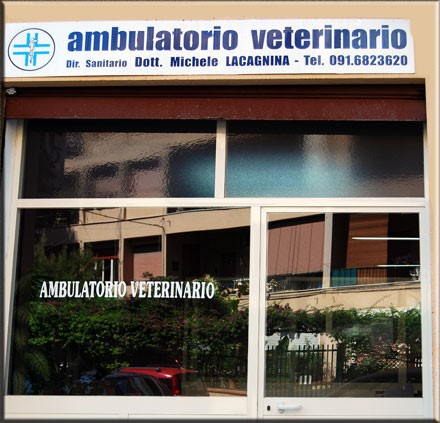Images Ambulatorio Veterinario Dott Michele Lacagnina