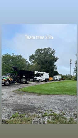 Images Art-Is-Tree, LLC