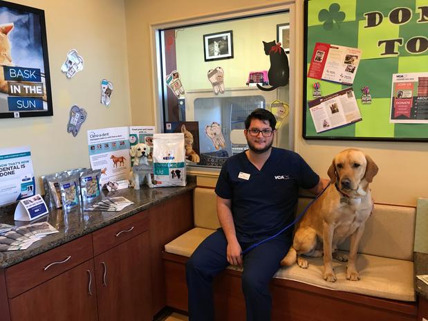 Images VCA Oak Hills Animal Hospital