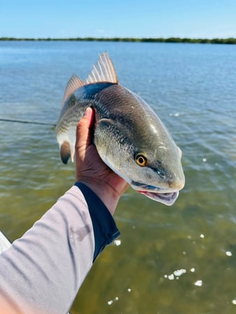 Images Slick Calm Charters