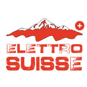 ELETTRO SUISSE SAGL Logo