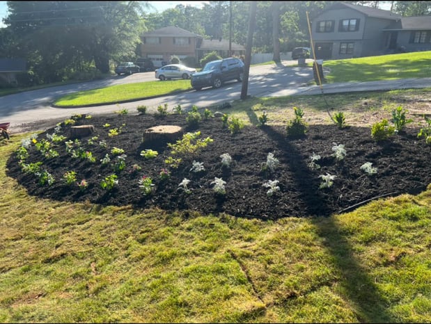 Images Lopez Tree Services and Landscaping