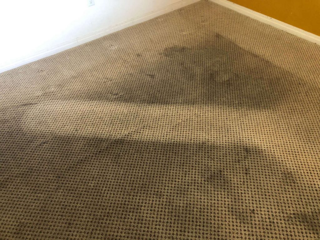 Carpet cleaning in Rancho Cucamonga, ca