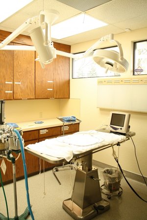 Images VCA Westmoreland Animal Hospital