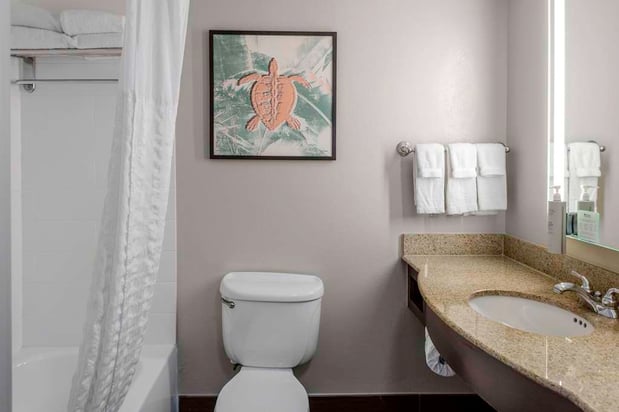 Images Hilton Garden Inn Sarasota-Bradenton Airport