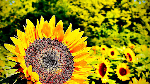 Images Michael Watz Photography