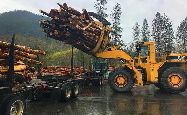 Images Oregon Wood Sales