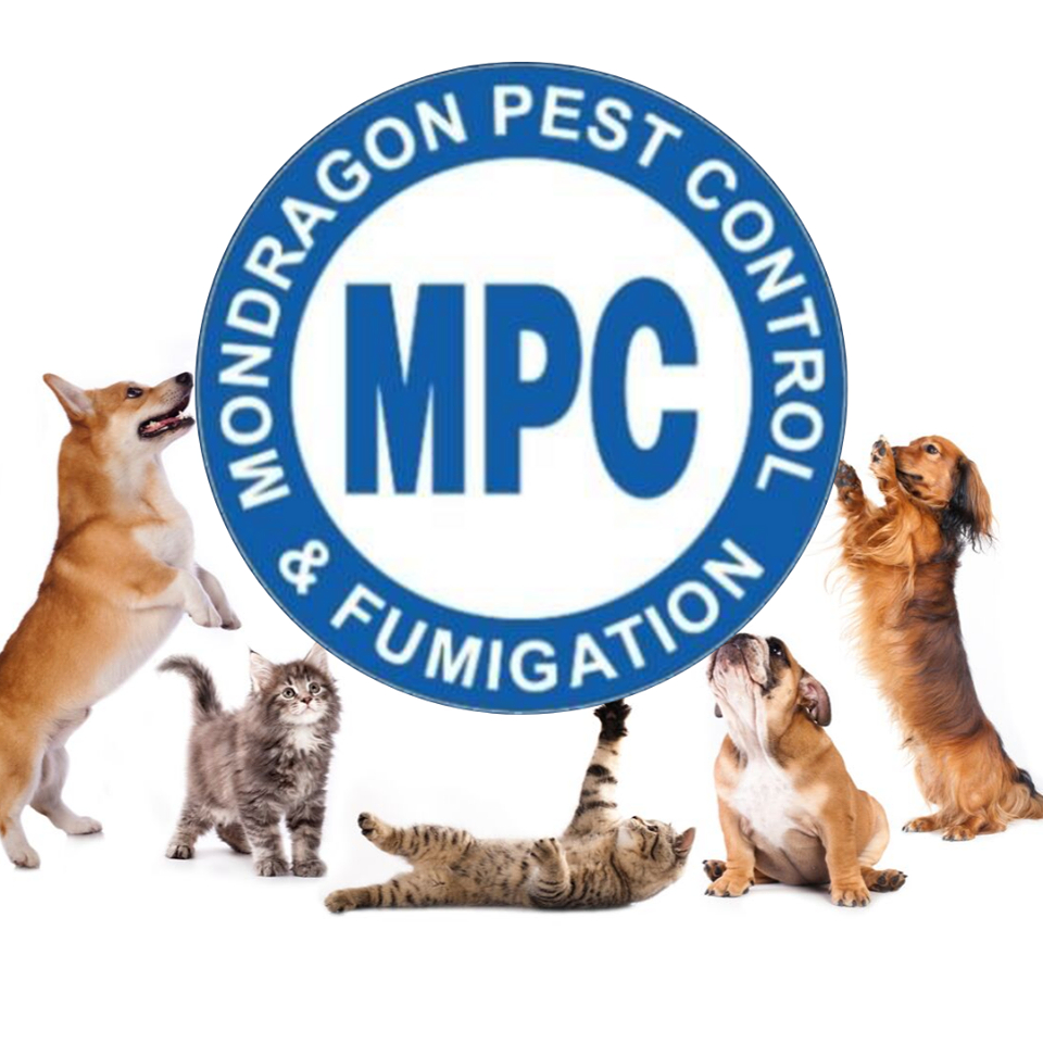 MONDRAGON Pest Control Logo