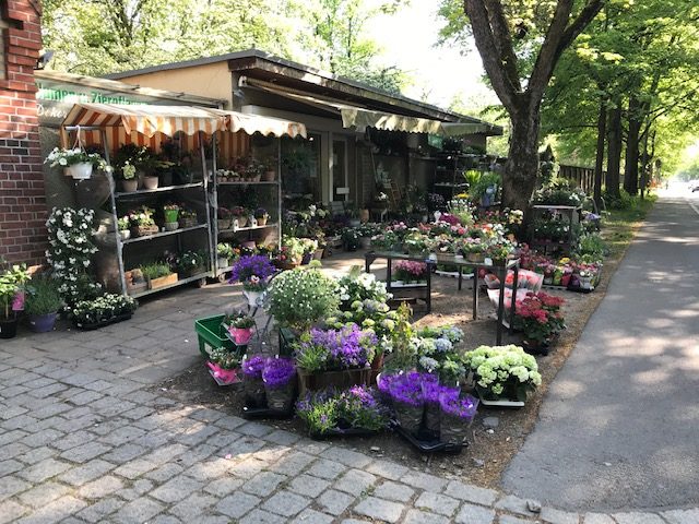 Blumen am Segensfriedhof, Gustav-Adolf-Straße 67 in Berlin