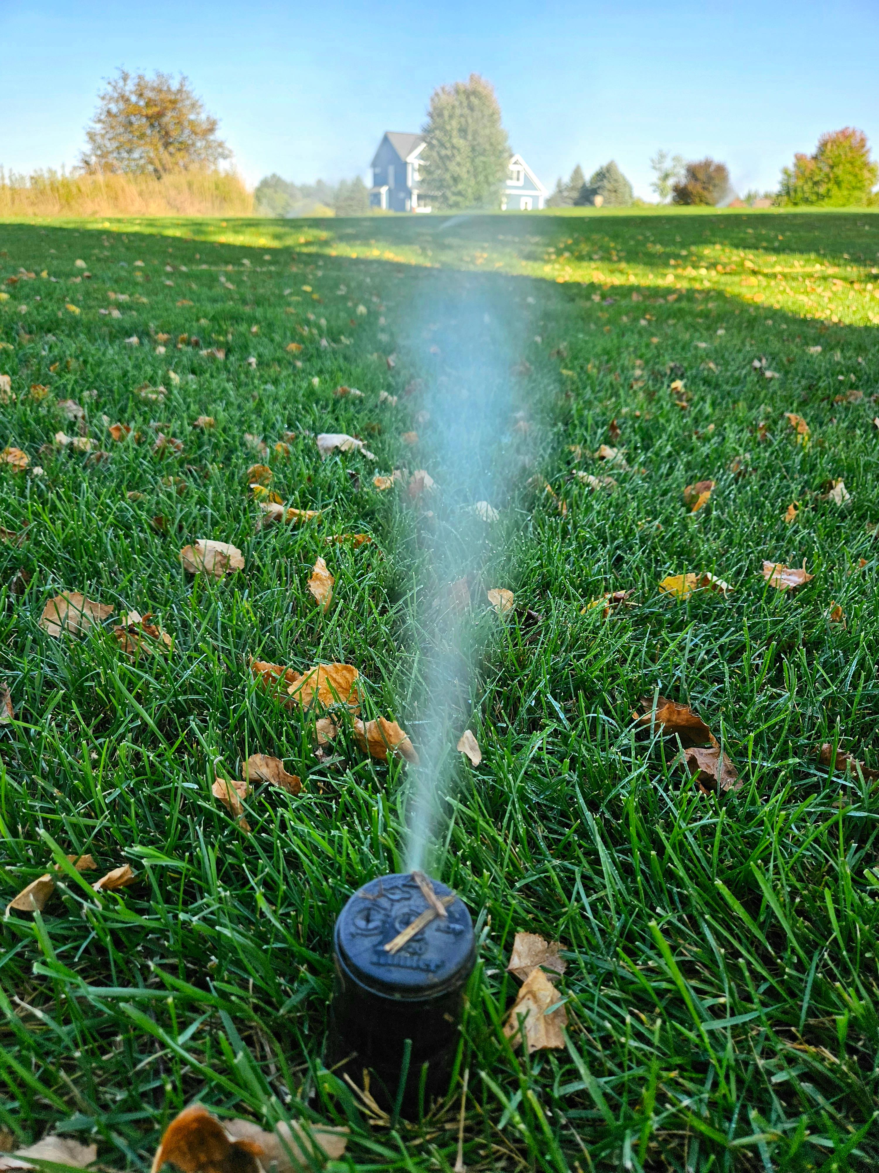 Image 11 | Time Bomb Irrigation