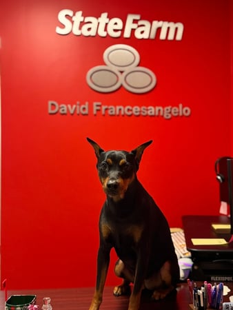 Images David Francesangelo - State Farm Insurance Agent