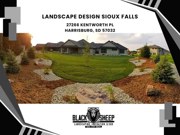 Images Black Sheep Landscape