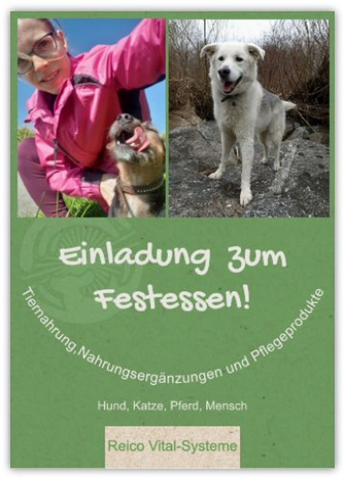 Bild 4 von Tanja Stieblehner - Ernährungstrainerin REICO VITAL - Spezialist für Hund, Katze und Mensch