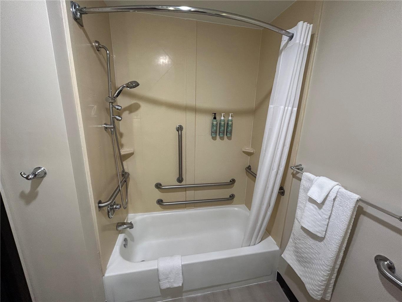 King Accessible Sofabed Bathroom