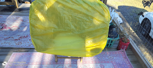 Images BobtailB1tchez