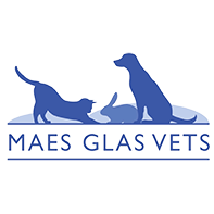Maes Glas Vets, Llantrisant Logo