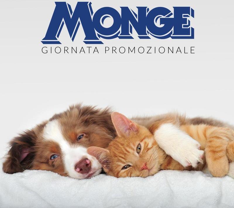 Images Gf Clima di Giancarlo Ferreri