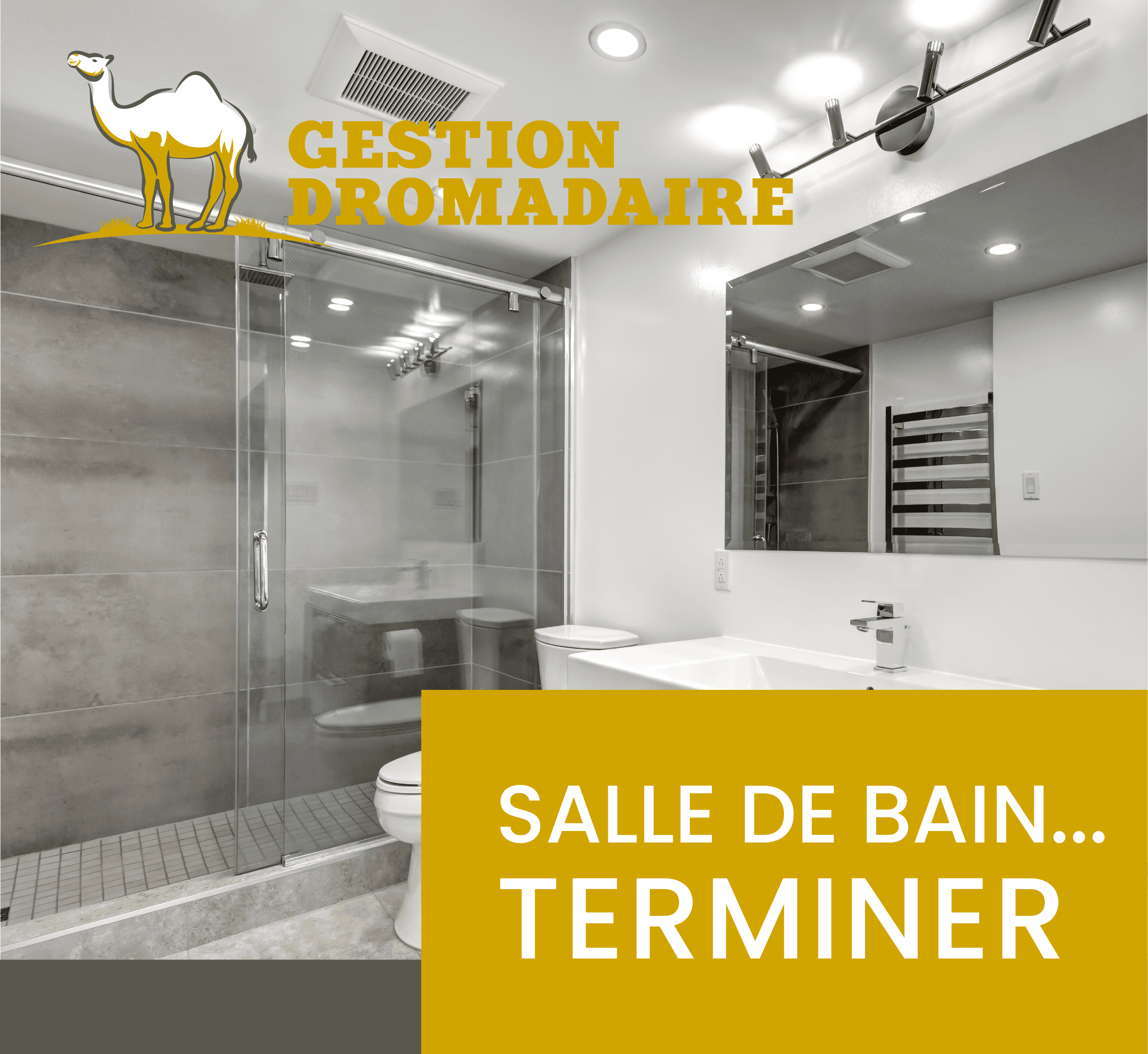 Images Gestion Dromadaire Inc