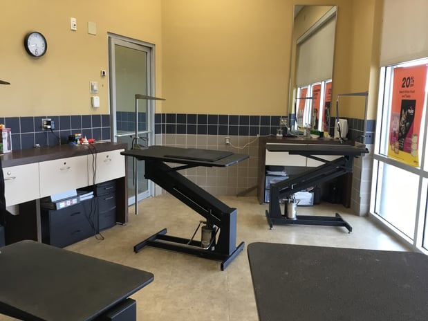 Images Petco Grooming