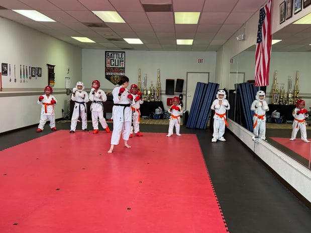 Images Jaguar Dojo