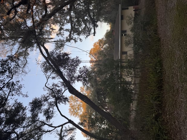 Images Trent's Tree Service The Neighborhood Arborist LLC