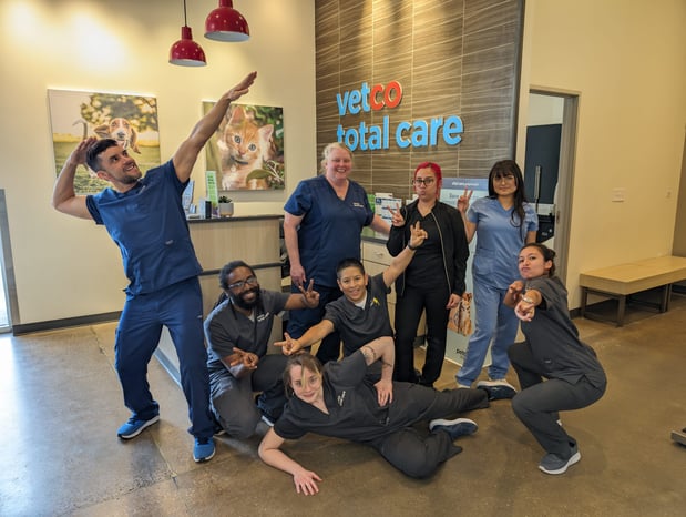 Images Vetco Total Care Animal Hospital