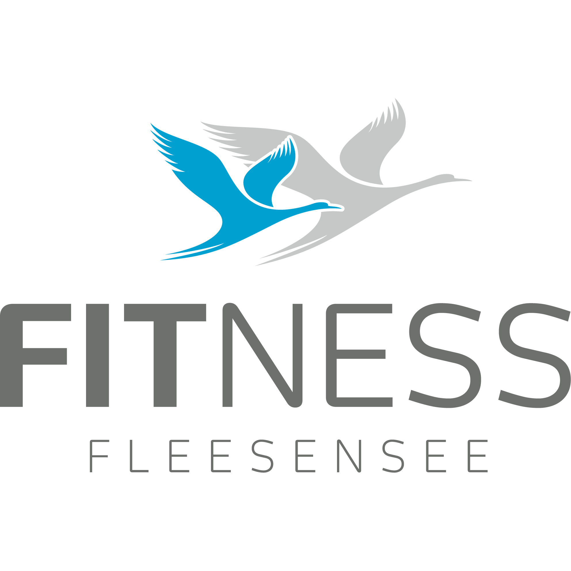 FITNESS Fleesensee in Göhren Lebbin - Logo