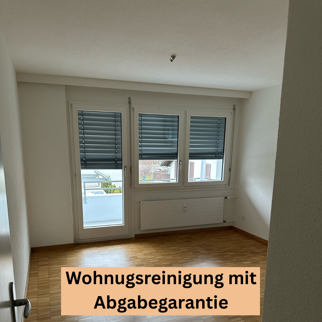 Bilder Sopa Reinigung