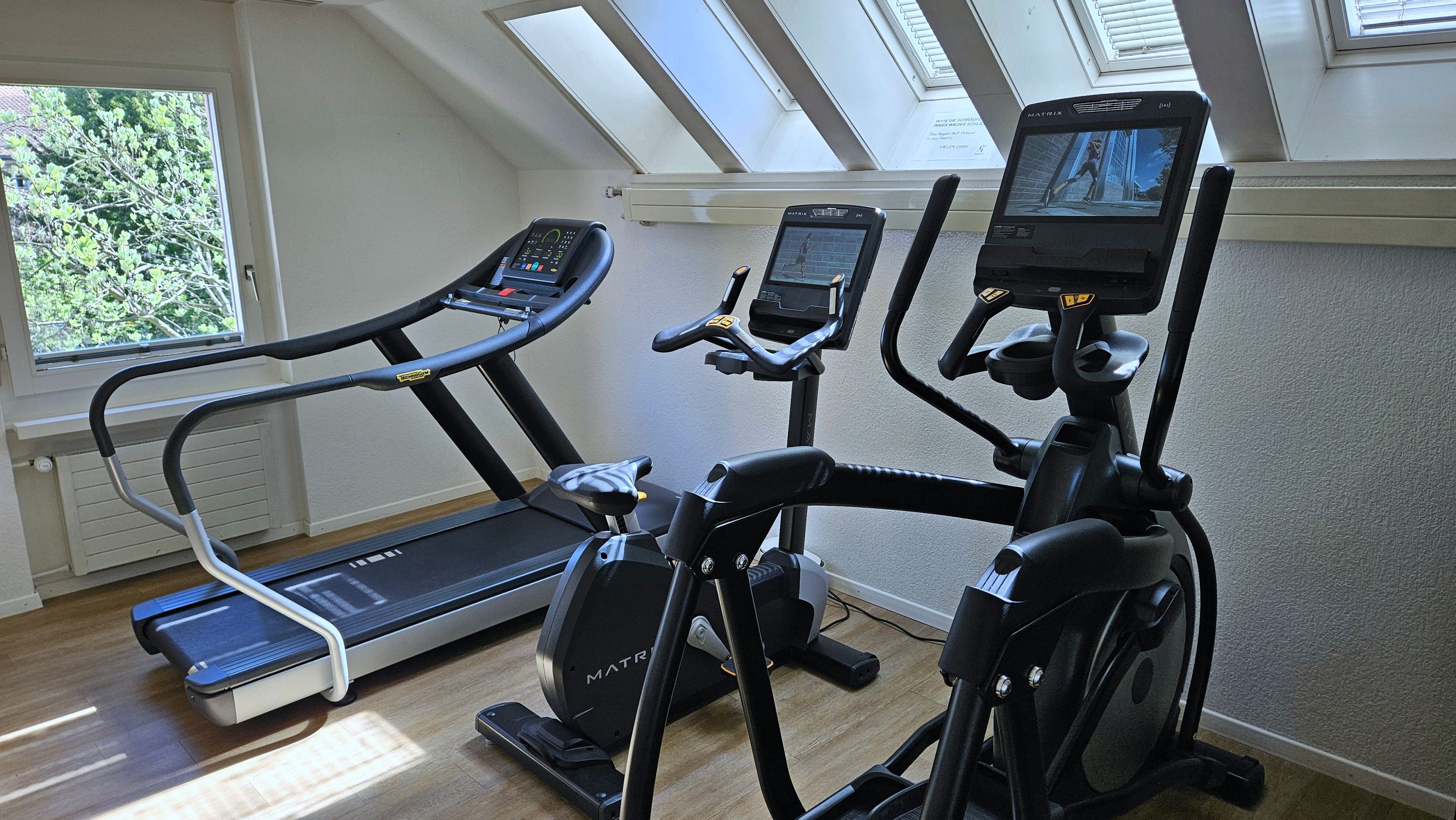 Bilder Physiotherapie Neuhof
